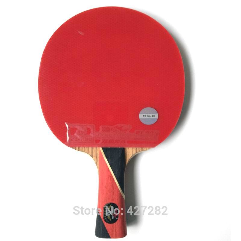 مضرب تنس طاولة أصلي من دبل فيش - مراجعة Table Tennis Review وسعره