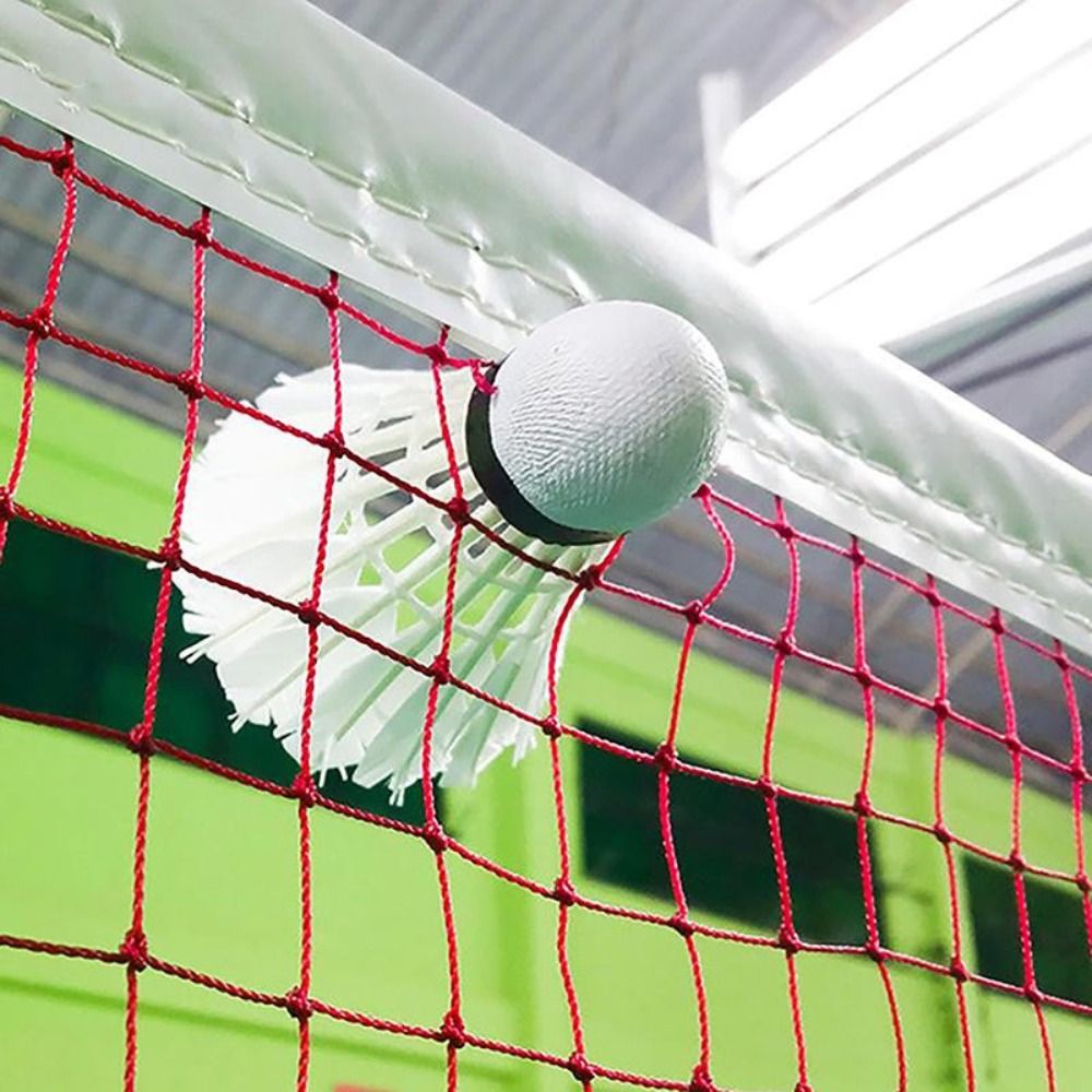 شبكة كرة الريشة القياسية البدي - مراجعة Table Tennis Zone وسعره
