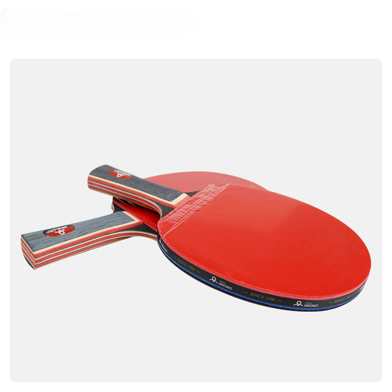 التدريب الترفيهي 2 مضارب وإطار - مراجعة Table Tennis Net Set وسعره